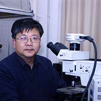 Yuanhua Shao (邵元华), Ph.D