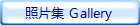 照片集 Gallery