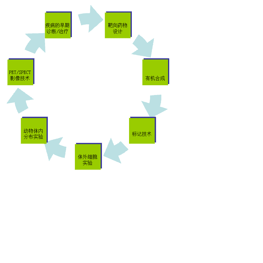 循环图