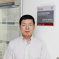 Xinxiang Zhang (张新祥), Ph.D.