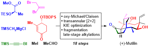 49. Total Synthesis of (+)-Mutilin: A Transannular [2+2] Cycloaddition/Fragmentation Approach