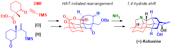 59. Enantioselective Total Syntheses of (+)-Kobusine, (+)-Spirasine IX and the Purported Structure of (+)-Orgetine: Strategic Use of C–H Bonds