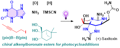 60. Synthesis of (+)-Saxitoxin Facilitated by a Chiral Auxiliary for Photocycloadditions Involving Alkenylboronate Esters