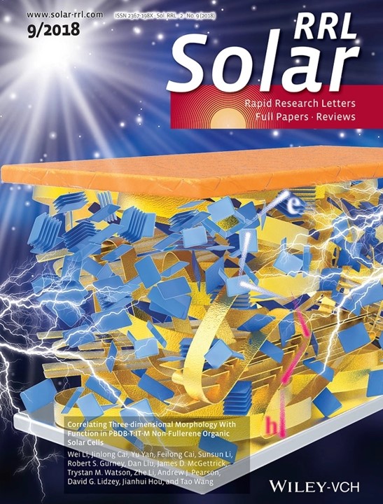 96. Efficient Moisture Resistant Perovskite Solar Cell with Nanostructure Featuring 3D-Amine Motif. Solar RRL , 2018, 1800069