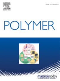 99. The Pursuit of Precision in Macromolecular Science: Concepts, Trends, and Perspectives. Polymer 2018, 155 , 235-247