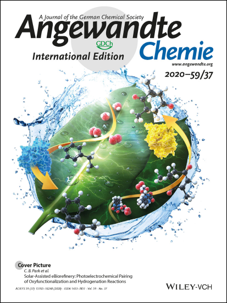 117. Cellular Synthesis and Crystal Structure of a Designed Protein Heterocatenane. Angew. Chem. Int. Ed. 2020, 59,16122–16127