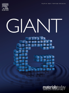 118. Giant is different: Size effects and the nature of macromolecules. Giant 2020, 1, 100011