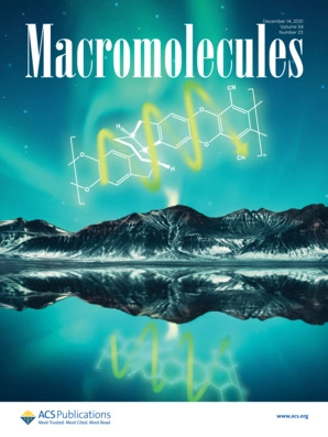 133. Crystallization of Precise Side-Chain Giant Molecules with Tunable Sequences and Functionalities. Macromolecules 2021, 54, 11093-11100.