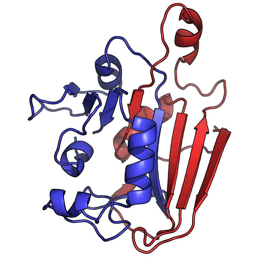 Protein Topology Engineering