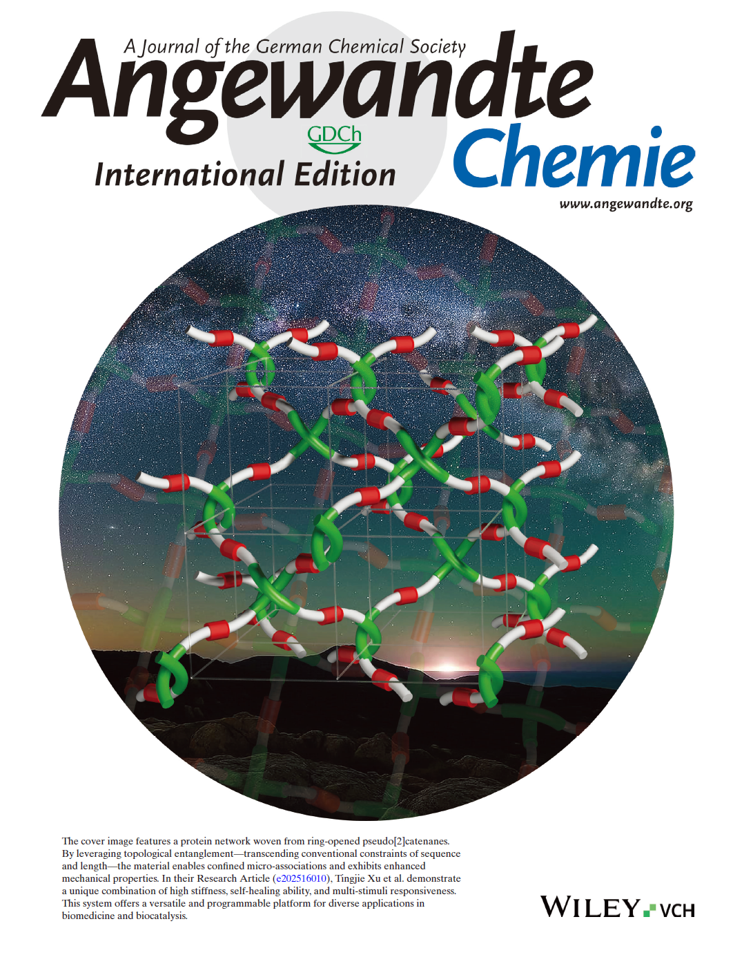 166. Xu, T.; Sun, Y.; Wang, Y.-X.; Jiang, F.; Hou, B.; Meng, Z.; Xu, L.; Liu, Y.;* Wu, W.-H.;* Zhang, W.-B.* A High Modulus, Multi-Stimuli Responsive, Interwoven Protein Network With Topologically Confined Micro-Association. Angew. Chem. Int. Ed. (Cover Article). 2025, e202516010.