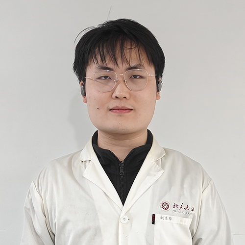 Zhizhe Liu